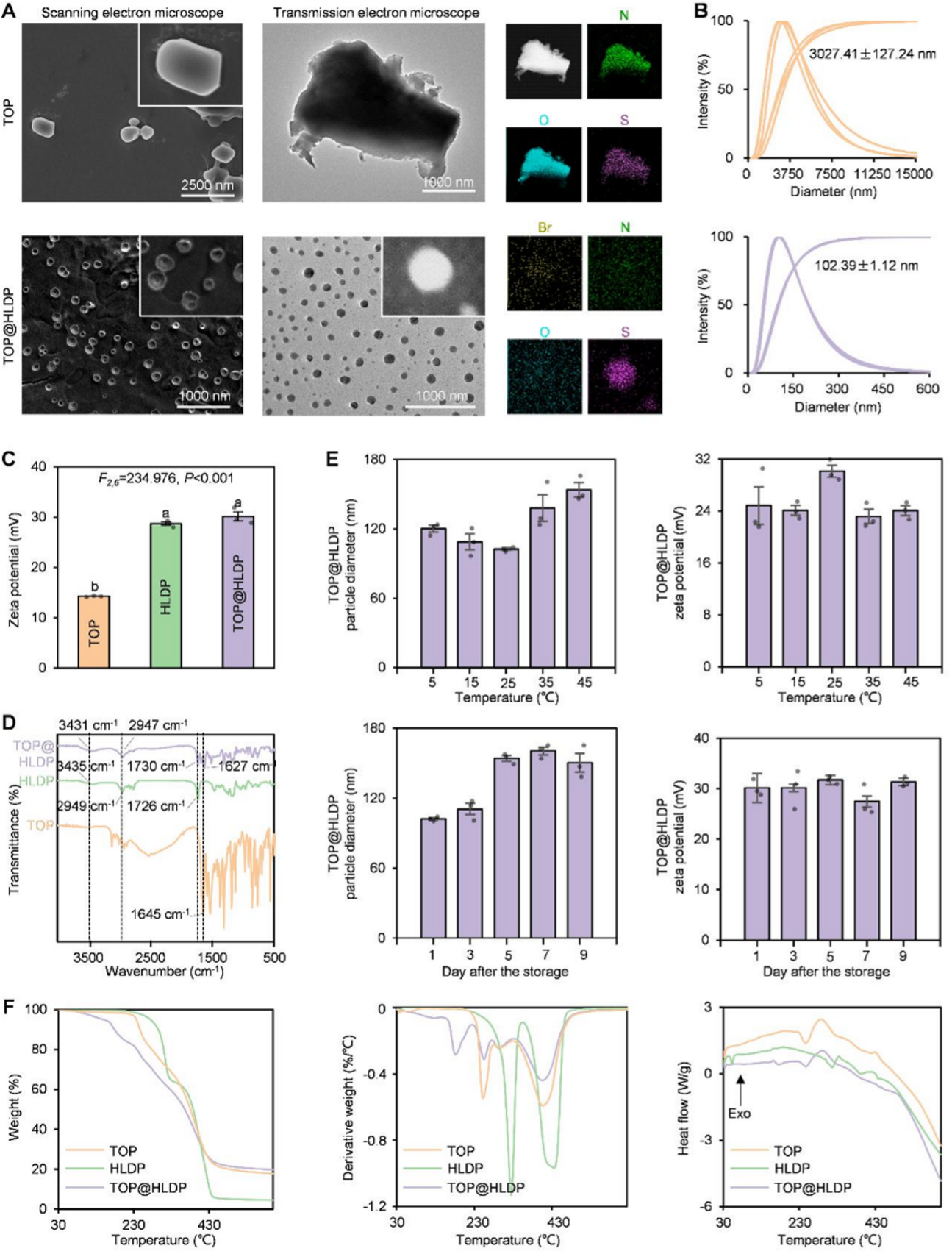 中国农业大学植保学院沈杰、闫硕教授团队博士研究生陈静怡发表论文 制备纳米除草剂并解析其多维协同增效机制