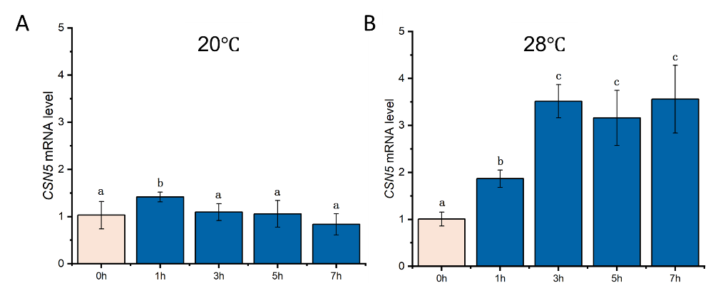 研究揭示海洋硅藻适应高温的分子机制
