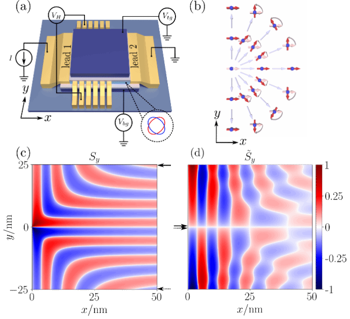 南京大学物理学院陈伟教授、邢定钰院士课题组揭示交错磁体本征自旋动力学