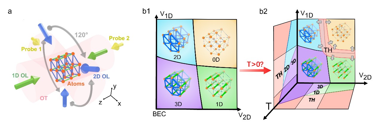 北京大学电子学院周小计、姚和朋团队利用原子量子模拟器首次完整探测维度交叉的普适相图