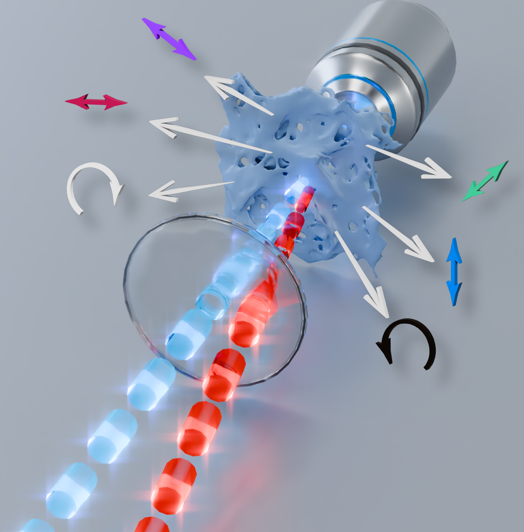 清华大学深圳国际研究生院何宏辉合作发表偏振超快手性光学显微成像评述
