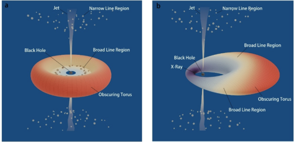 研究构建活动星系核辐射和光变的统一物理框架