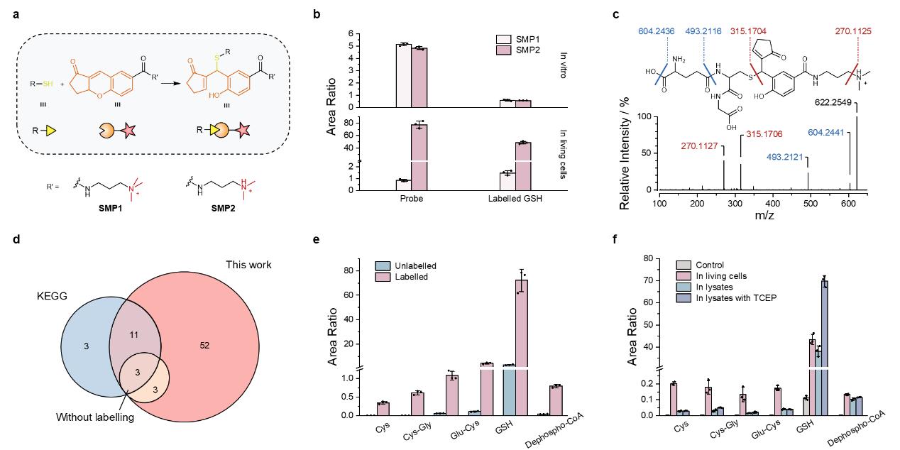北京大学化学与分子工程学院白玉课题组发展基于活细胞化学标记的单细胞亚代谢组揭示细胞铁死亡异质性