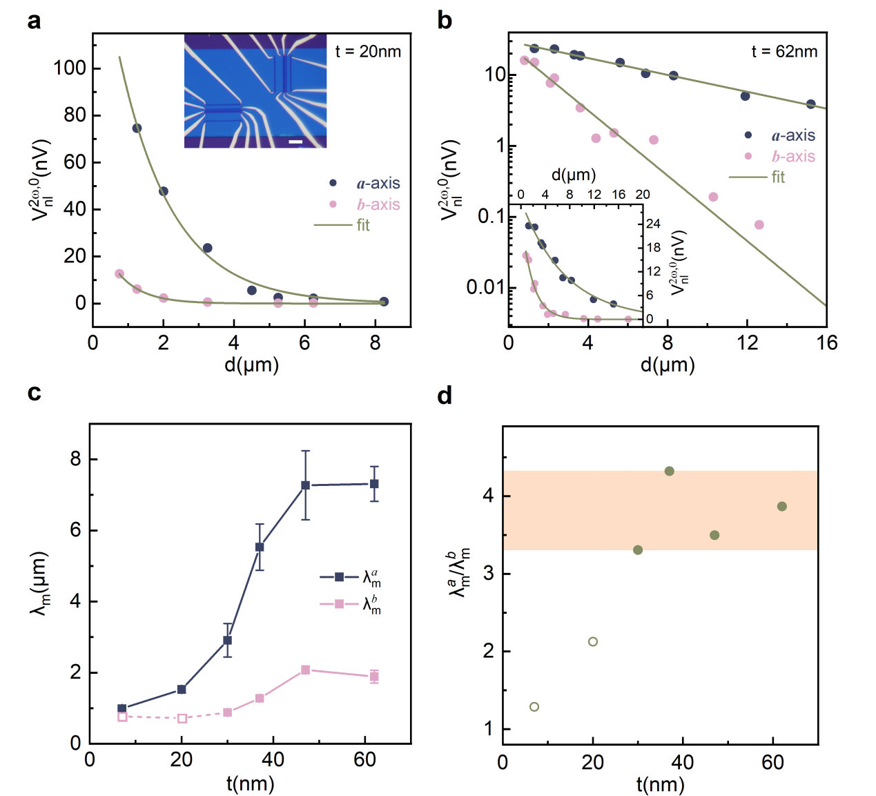 北京大学物理学院陈剑豪团队首次观测到二维自旋晶格中的准一维磁子自旋输运