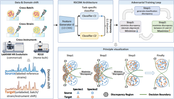 拉曼光谱跨域智能分析研究取得进展
