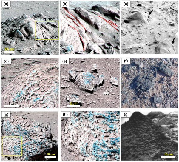 祝融号观测数据揭示火星短时卤水驱动的盐风化现象