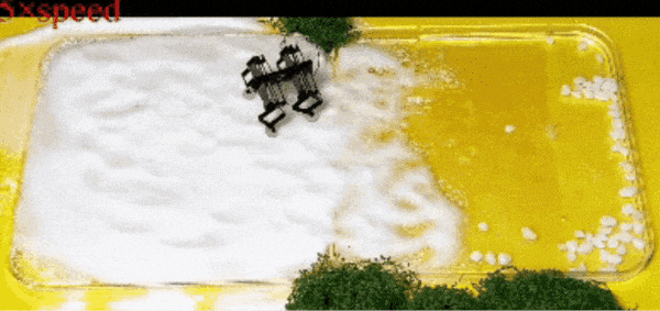 国防科大纸片机器人登上Nature子刊