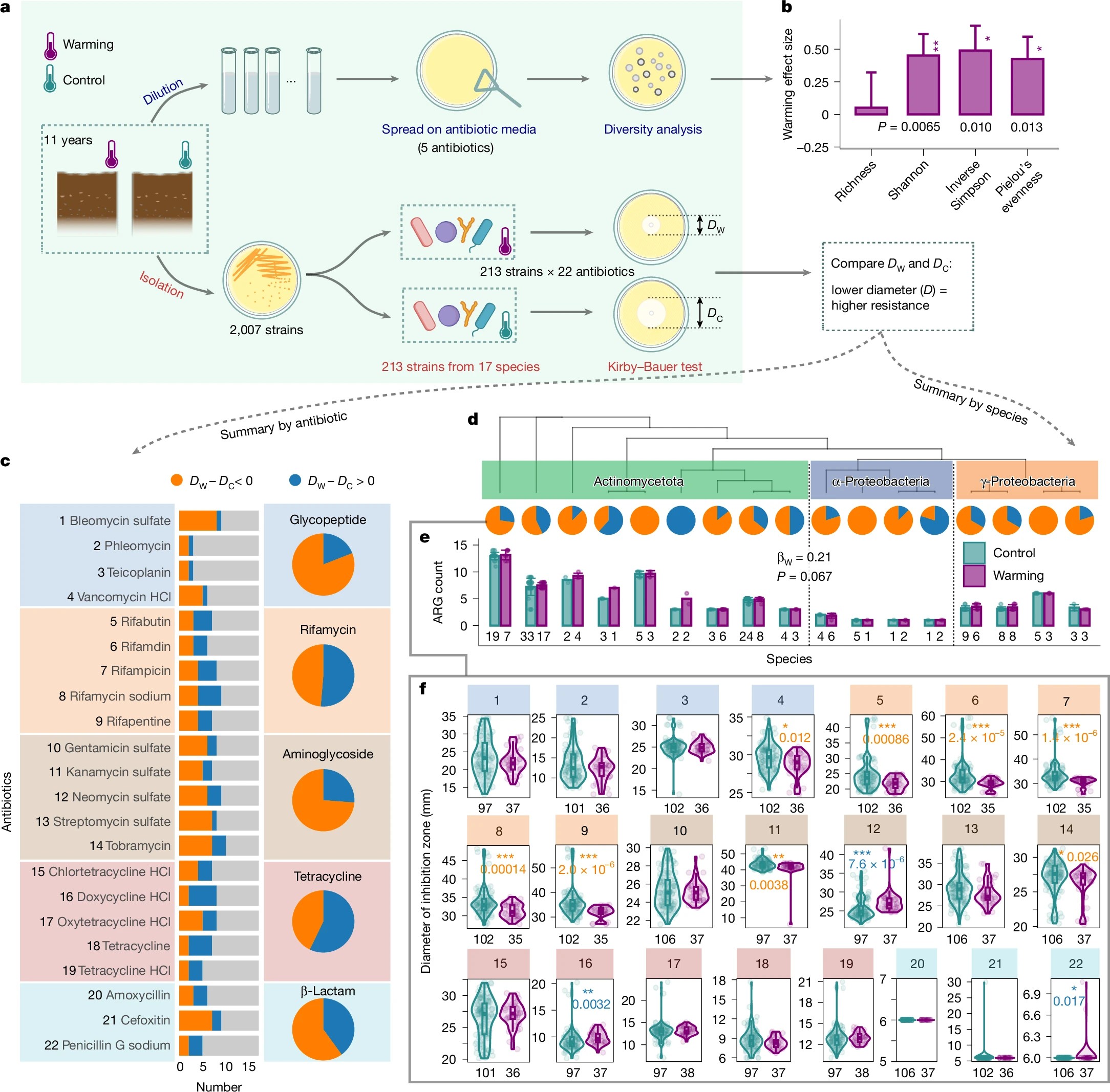 北京大学城市与环境学院吴林蔚团队揭示气候变暖加速草地土壤微生物抗生素耐药性