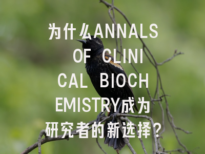 为什么ANNALS OF CLINICAL BIOCHEMISTRY成为研究者的新选择？