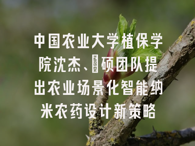 中国农业大学植保学院沈杰、闫硕团队提出农业场景化智能纳米农药设计新策略