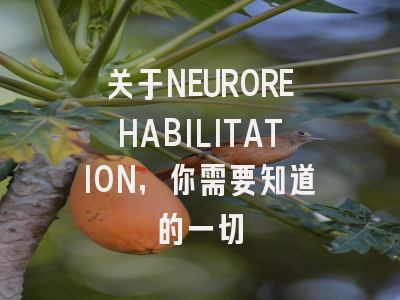 关于NEUROREHABILITATION，你需要知道的一切