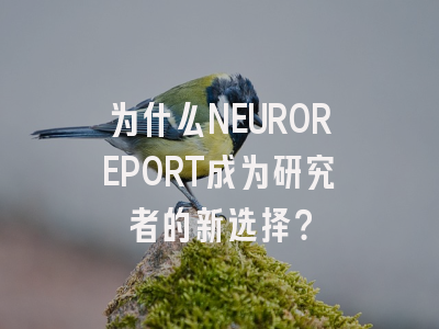 为什么NEUROREPORT成为研究者的新选择？