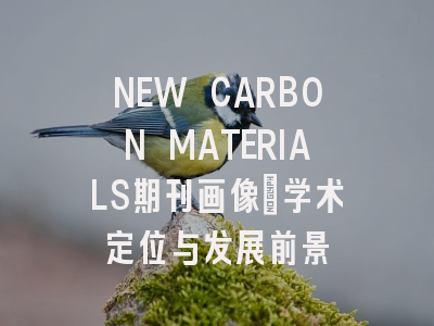 NEW CARBON MATERIALS期刊画像：学术定位与发展前景