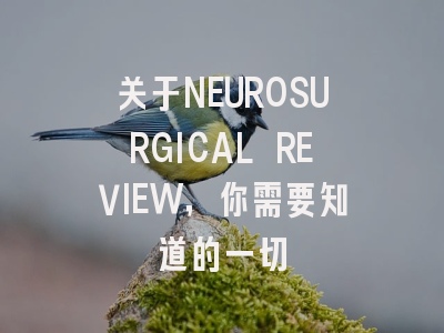 关于NEUROSURGICAL REVIEW，你需要知道的一切