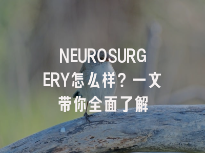 NEUROSURGERY怎么样？一文带你全面了解
