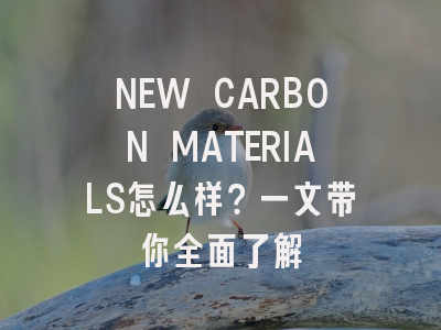 NEW CARBON MATERIALS怎么样？一文带你全面了解