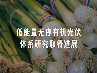 低能量无序有机光伏体系研究取得进展