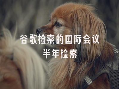 谷歌检索的国际会议半年检索