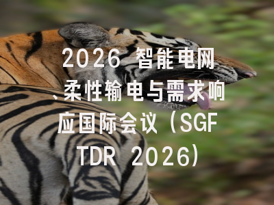 2026 智能电网、柔性输电与需求响应国际会议（SGFTDR 2026）