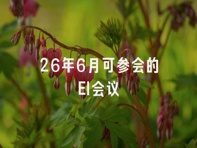 26年6月可参会的EI会议