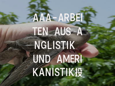 AAA-ARBEITEN AUS ANGLISTIK UND AMERIKANISTIK投稿指南:权