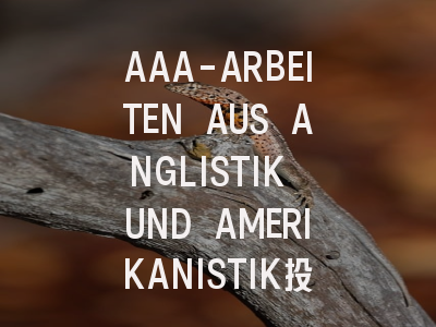 AAA-ARBEITEN AUS ANGLISTIK UND AMERIKANISTIK投稿指南：权