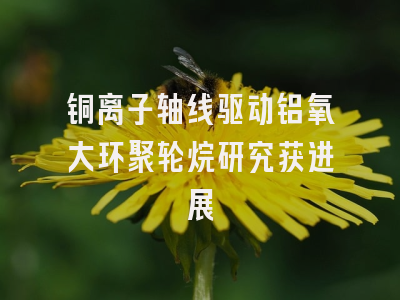 铜离子轴线驱动铝氧大环聚轮烷研究获进展