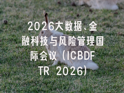 2026大数据、金融科技与风险管理国际会议(ICBDFTR 2026)