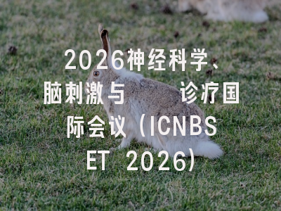 2026神经科学、脑刺激与癫痫诊疗国际会议（ICNBSET 2026）