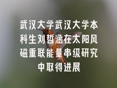 武汉大学武汉大学本科生刘哲涵在太阳风磁重联能量串级研究中取得进展