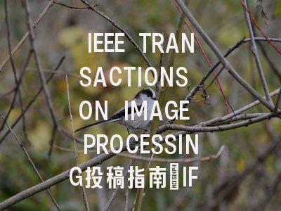 IEEE TRANSACTIONS ON IMAGE PROCESSING投稿指南：IF 13.7、