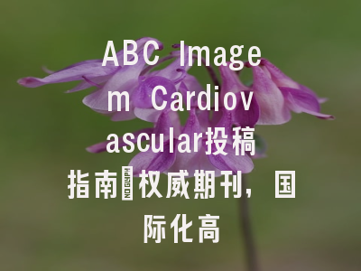 ABC Imagem Cardiovascular投稿指南:权威期刊,国际化高