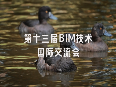 第十三届BIM技术国际交流会