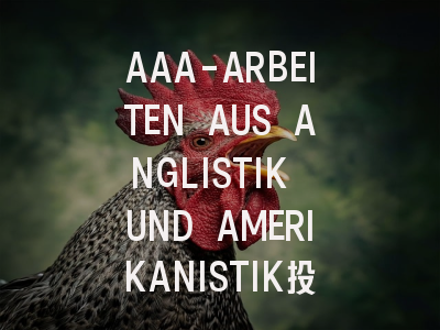 AAA-ARBEITEN AUS ANGLISTIK UND AMERIKANISTIK投稿指南：权