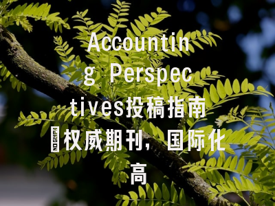 Accounting Perspectives投稿指南:权威期刊,国际化高