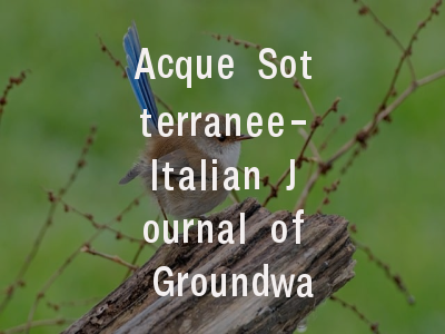 Acque Sotterranee-Italian Journal of Groundwater投稿