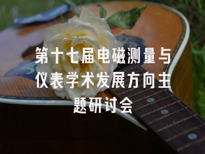 第十七届电磁测量与仪表学术发展方向主题研讨会