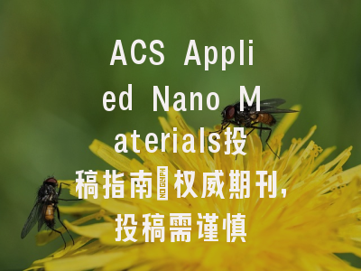ACS Applied Nano Materials投稿指南:权威期刊,投稿需谨慎
