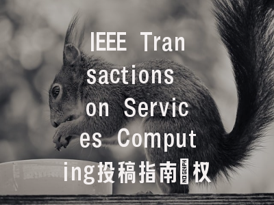 IEEE Transactions on Services Computing投稿指南:权威期刊,投