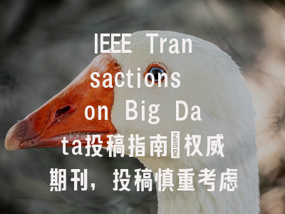 IEEE Transactions on Big Data投稿指南:权威期刊,投稿慎重考虑