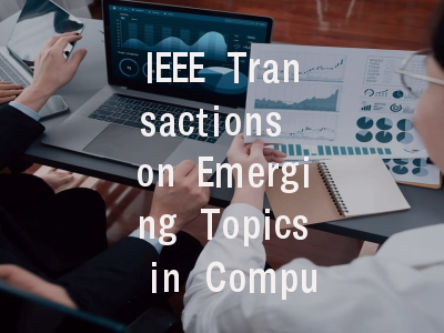IEEE Transactions on Emerging Topics in Computing投