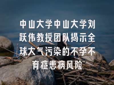 中山大学中山大学刘跃伟教授团队揭示全球大气污染的不孕不育症患病风险