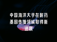 学术会议在线
