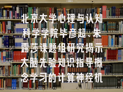北京大学心理与认知科学学院毕彦超、朱露莎课题组研究揭示大脑先验知识指导概念学习的计算神经机制