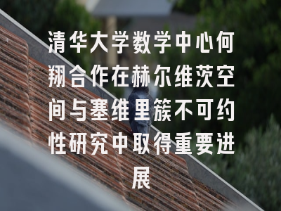 清华大学数学中心何翔合作在赫尔维茨空间与塞维里簇不可约性研究中取得重要进展