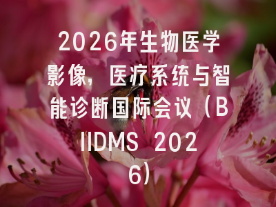 2026年生物医学影像,医疗系统与智能诊断国际会议(BIIDMS 2026)