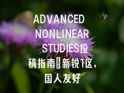ADVANCED NONLINEAR STUDIES投稿指南:新锐1区,国人友好