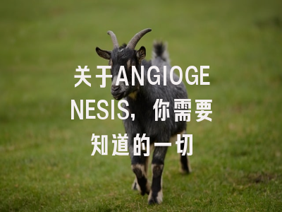 关于ANGIOGENESIS，你需要知道的一切