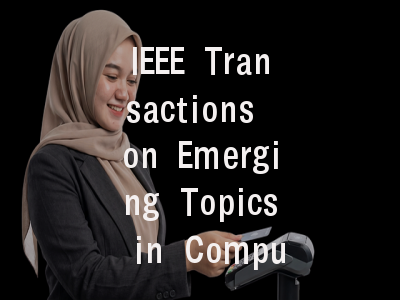 IEEE Transactions on Emerging Topics in Computing投