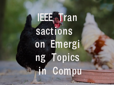 IEEE Transactions on Emerging Topics in Computatio